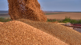 Президент Казахстана отказался от экспортных пошлин на зерно